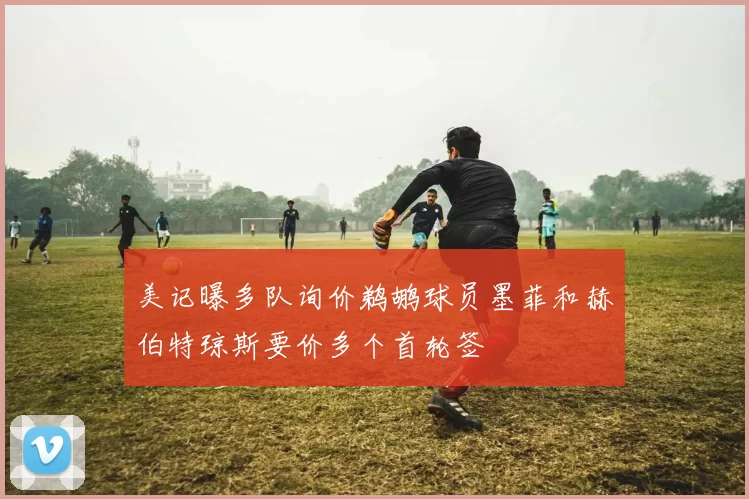 美记曝多队询价鹈鹕球员墨菲和赫伯特琼斯要价多个首轮签